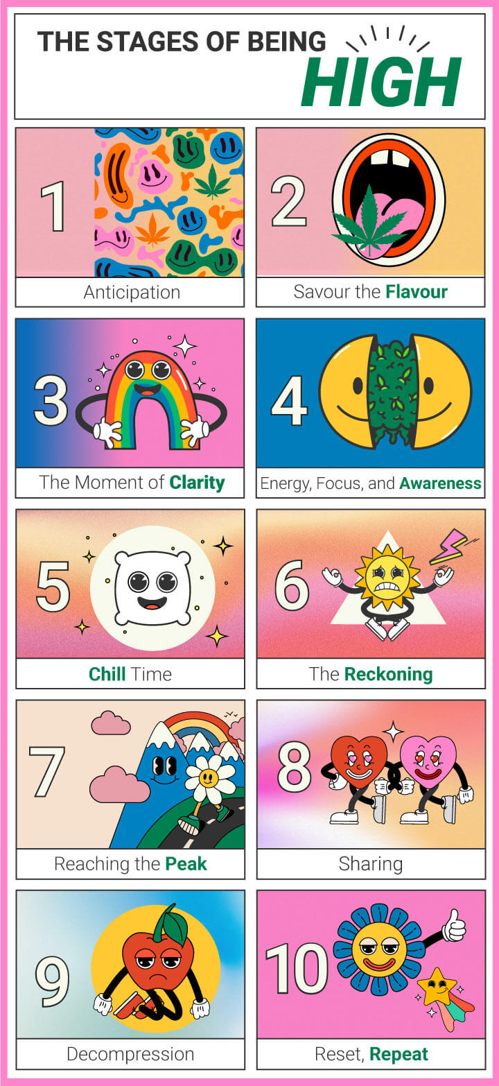 The Stages of Being High - RQS Blog - High-risk Populations Include Which Of The Following