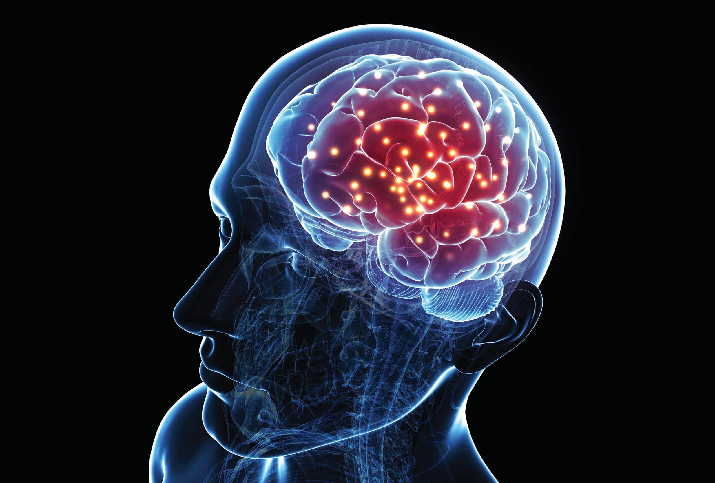 The Stages Of Memory Formation And Storage - Memory Wave Reviews And Complaints Reddit