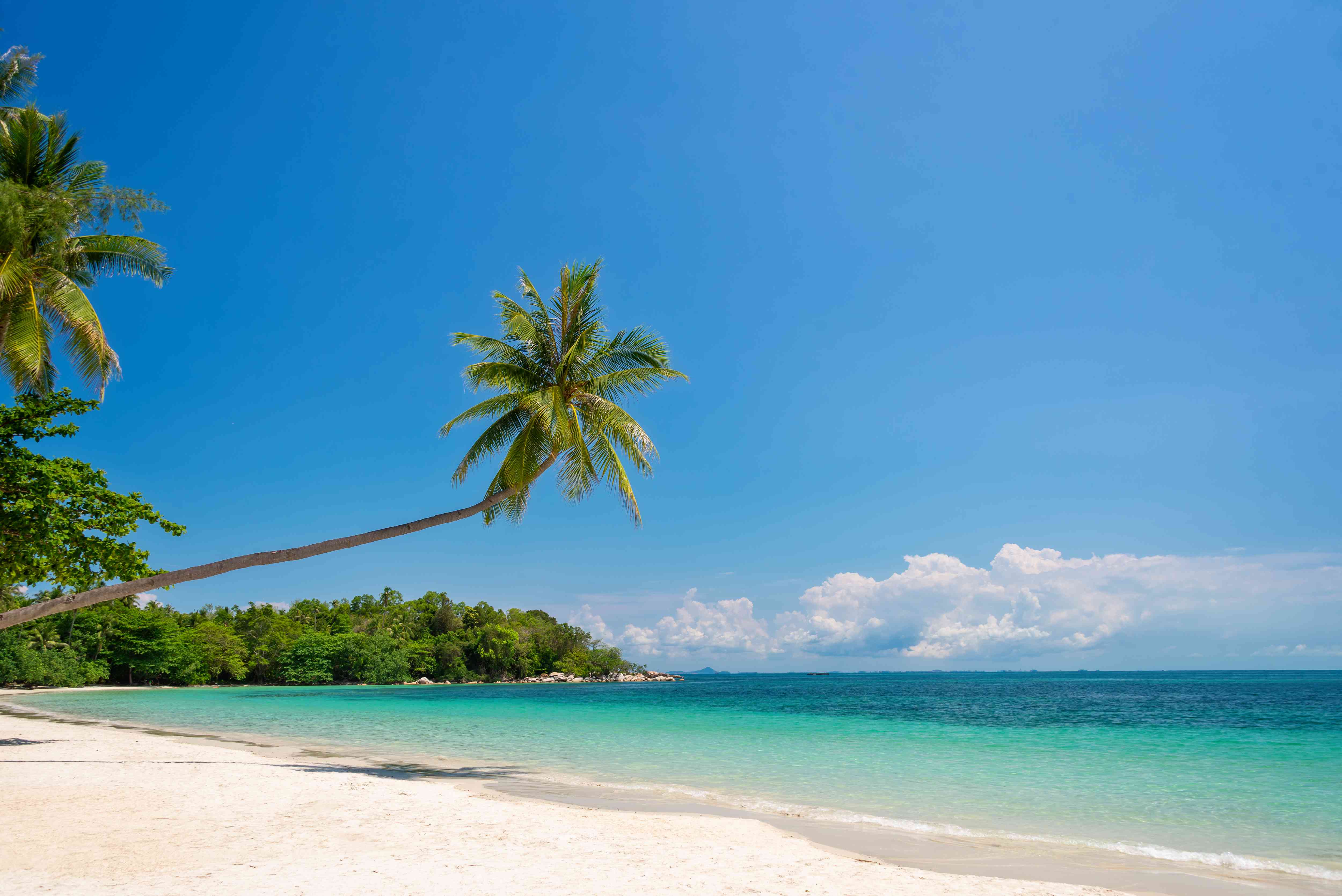 The Top 14 Destinations in Sumatra - Sumatra Tonic Reviews And Complaints Consumer Reports