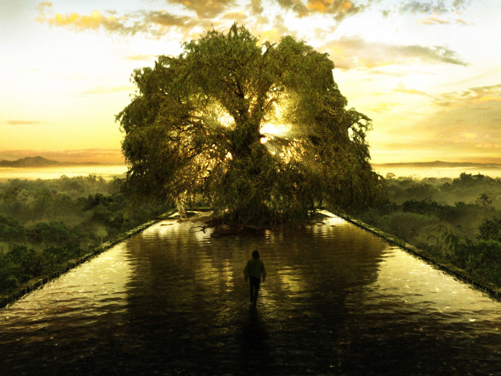 The Tree of Life represents the spiritual point of balance – the secret - Life Extension Vitamin C 24-hour Liposomal Hydrogel Formula