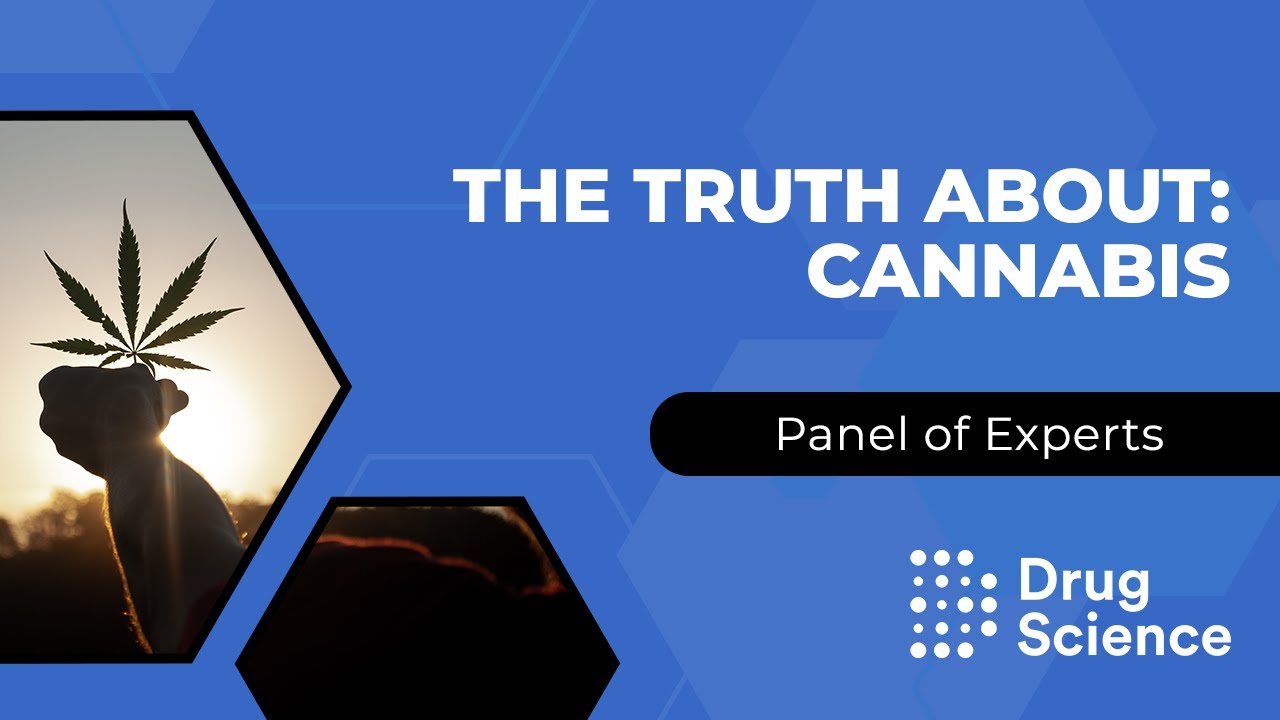 Identify The True And False Statements About Cannabis