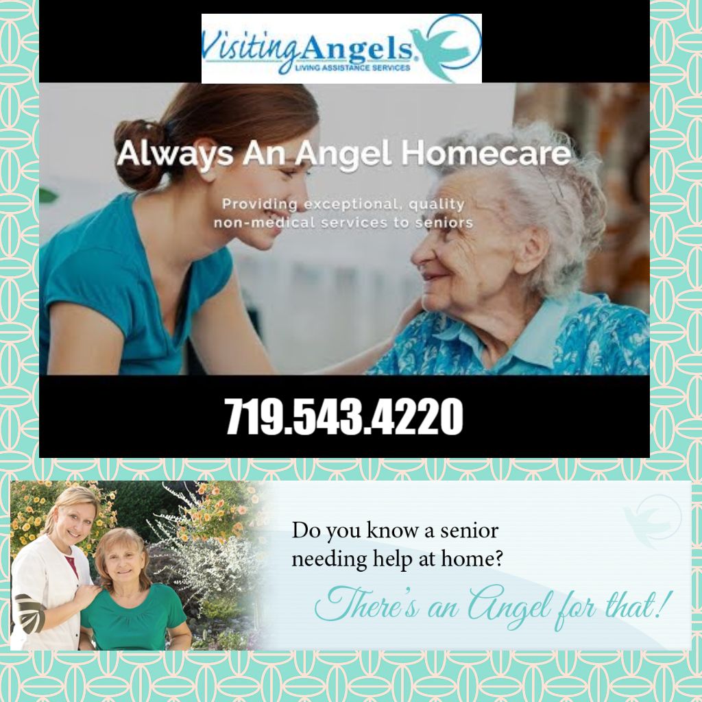 Visiting Angels Senior Home Care Ann Arbor