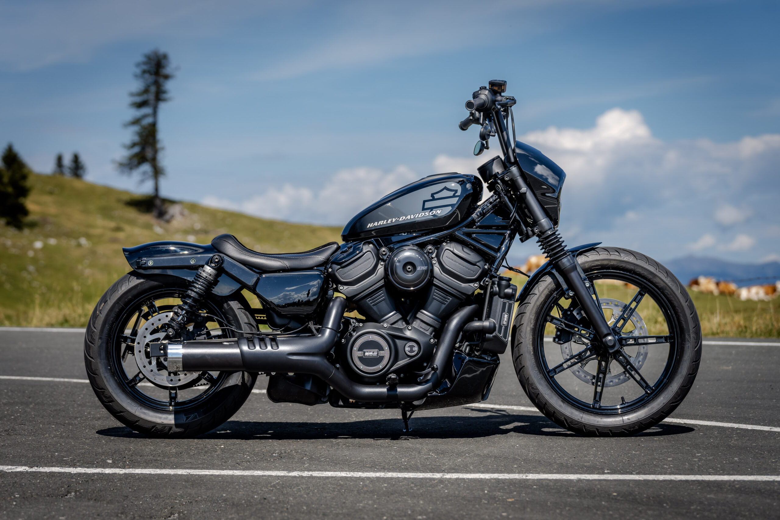 Thunderbike Night Flyer • Harley-Davidson • Sportster • Nightster - Custom Coatings By Providing Protection That Is Adaptable