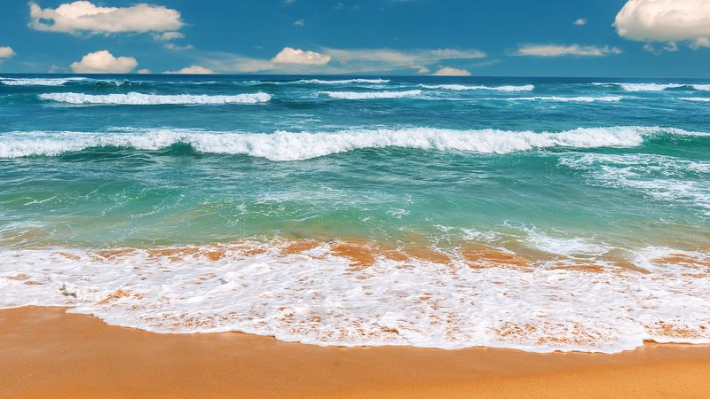 Tide Free And Gentle Vs Tide Simply Free And Sensitive