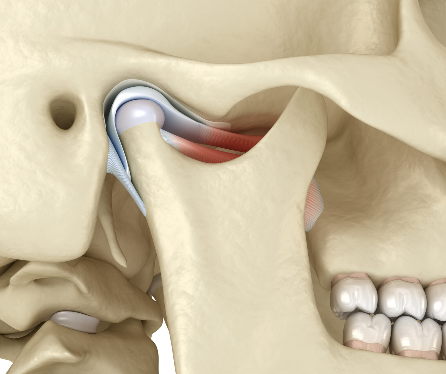 TMJ & TMD | Faces Physiotherapy - Does Tmj Surgery Change Your Face