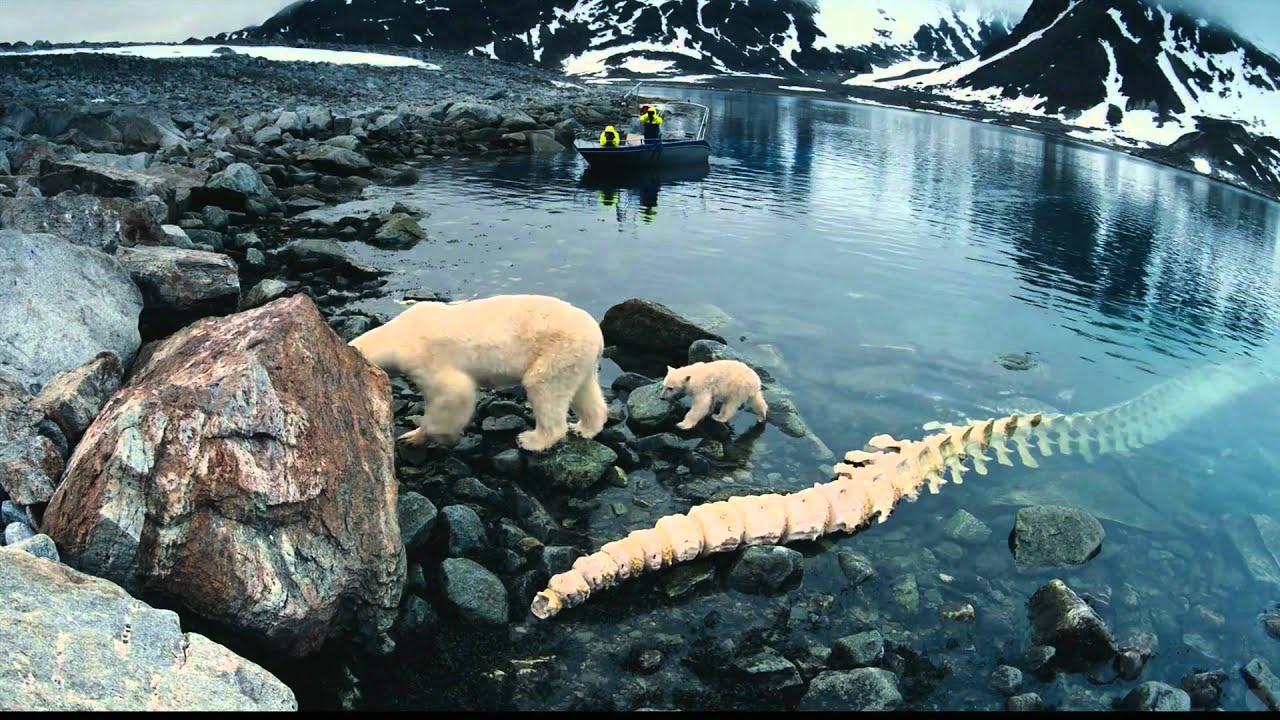 To the Arctic at The Hackworth IMAX Dome Theater - YouTube - Hackworth Imax Dome The Tech Museum San Jose