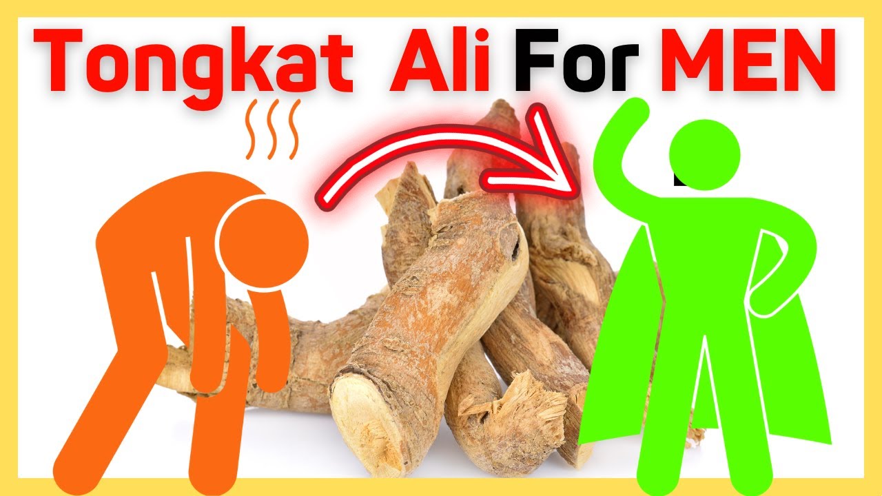 Tongkat Ali BENEFITS For MEN: The ULTIMATE Guide - YouTube - How Long For Tongkat Ali To Work