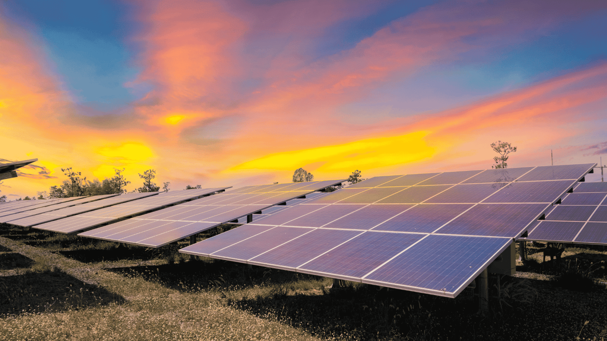 Top 24 Solar Energy Statistics for 2022 - EcoWatch - Solar Cannabis Co. Weed Dispensary Warwick Reviews