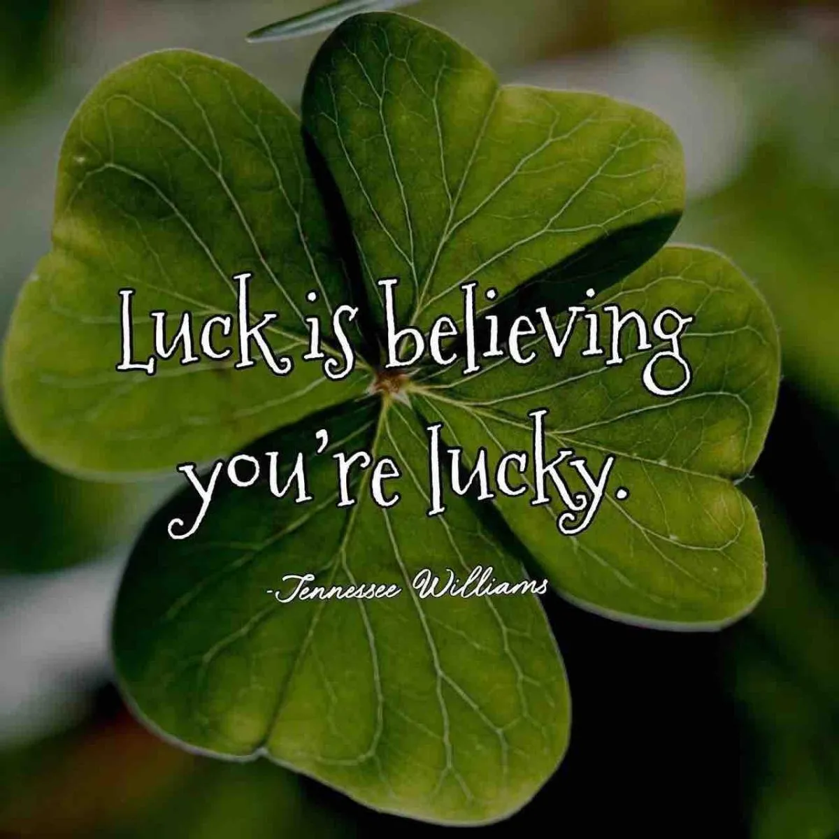 Top 25 Preparation Quotes Of 1000 A Z Quotes - vrogue.co - Lucky Legends Casino App For Android Download Latest Version