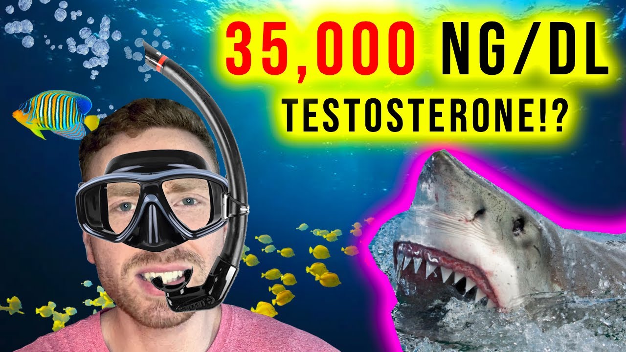 Top 20 Countries With Highest Testosterone Levels