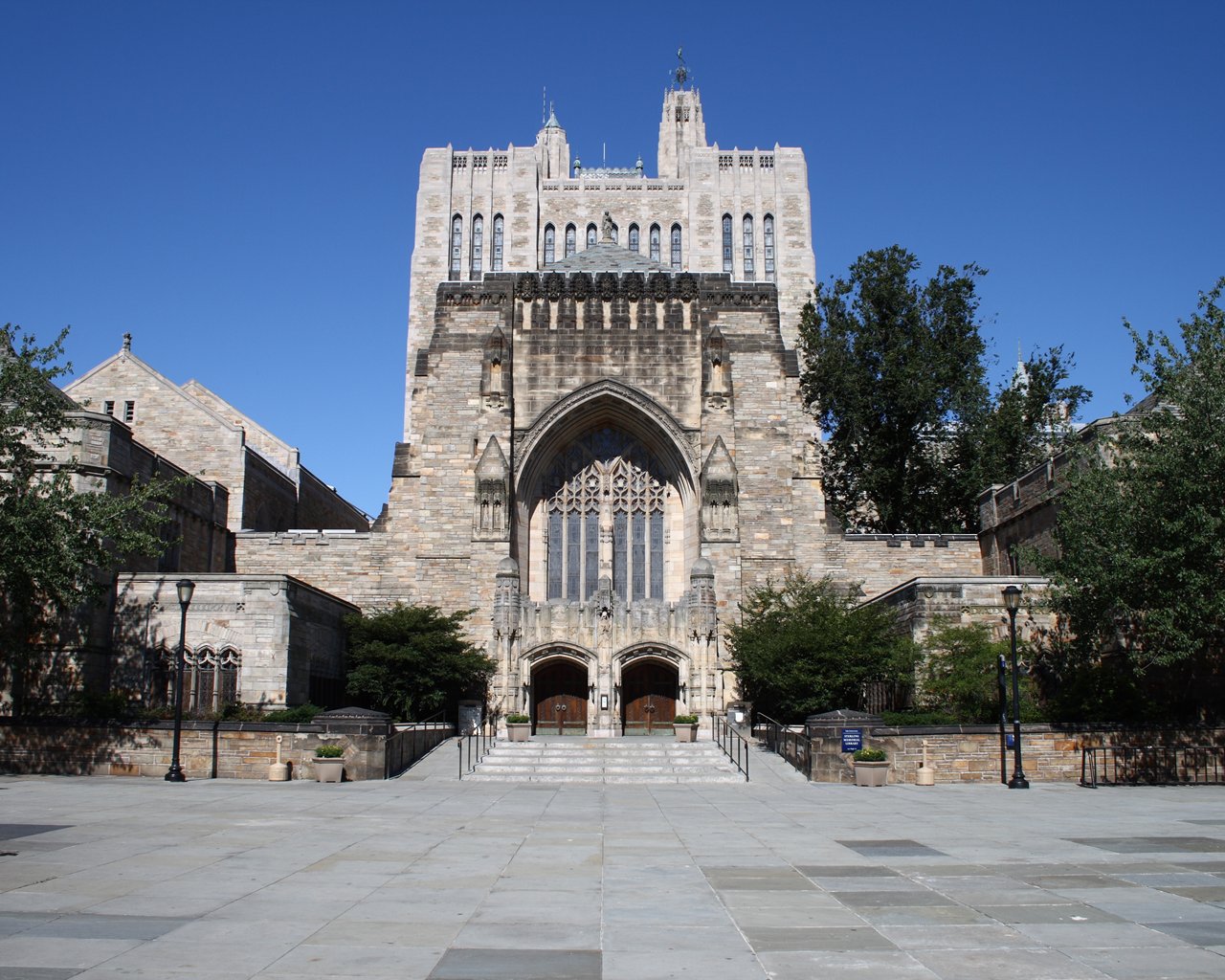 Yale Business Perspectives For Creative Leaders