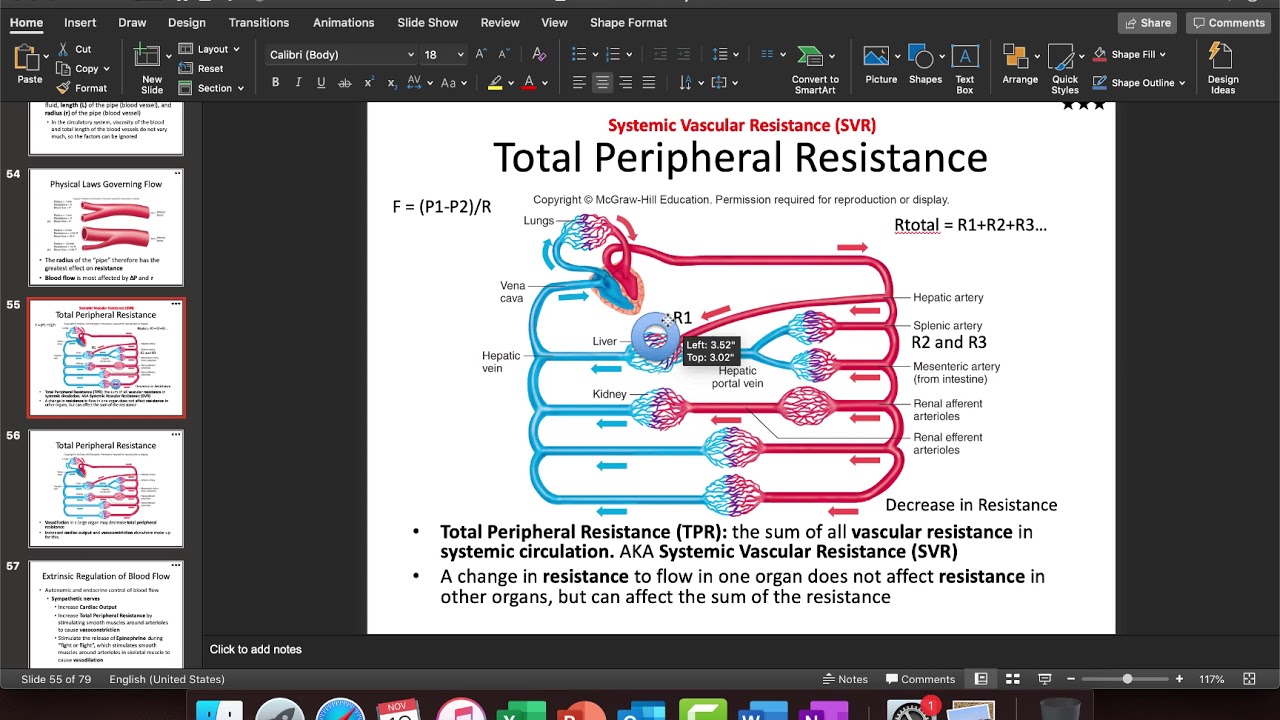 Choose All Of The Following That Affect Peripheral Resistance.