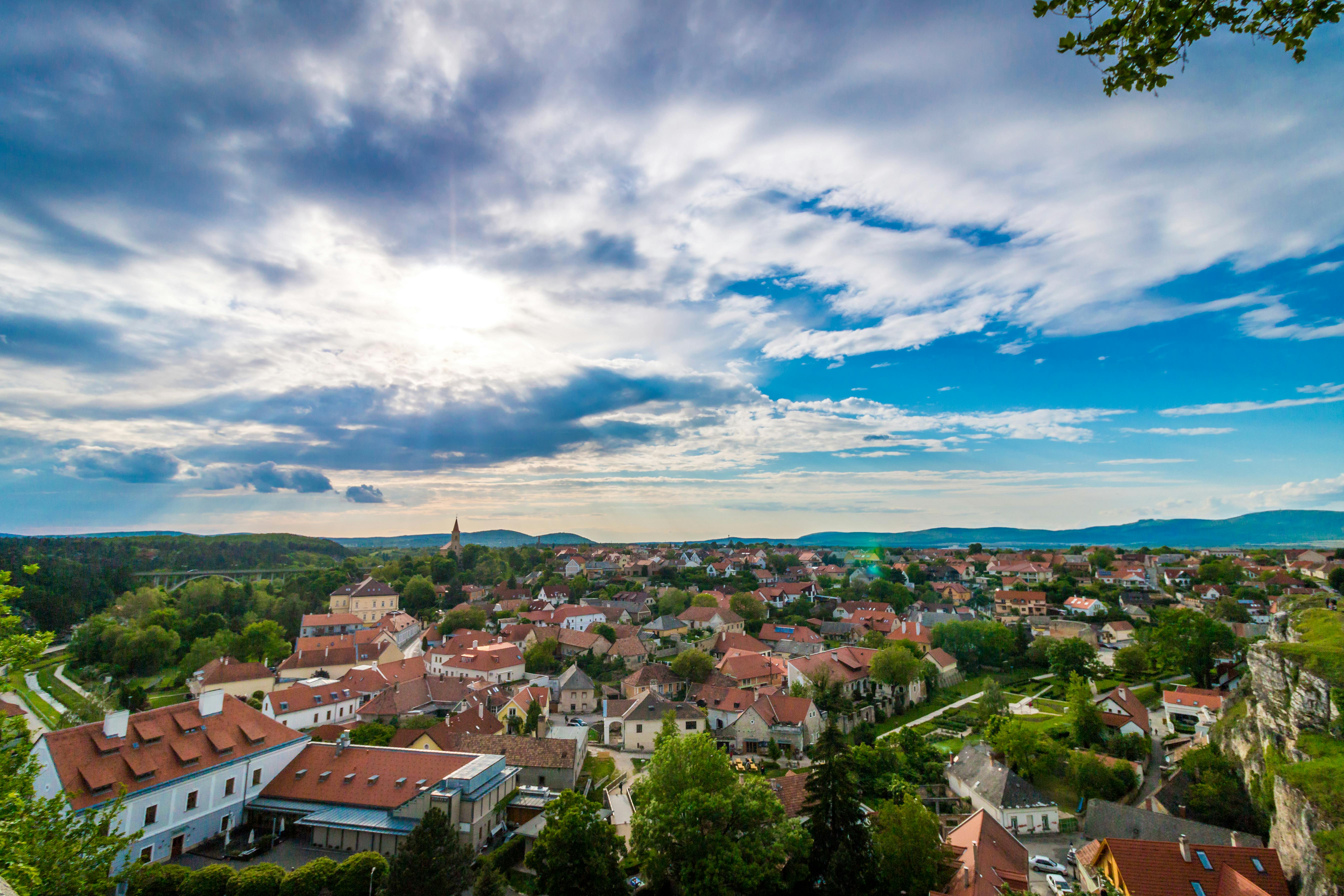 Town Photos, Download The BEST Free Town Stock Photos & HD Images - Town And Country Animal Hospital Ocala Fl