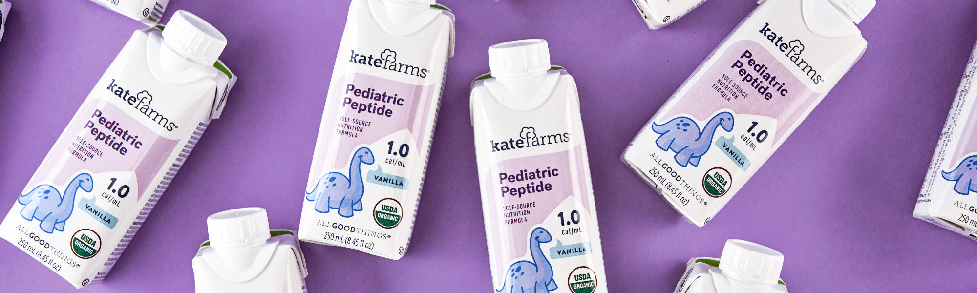 Eu5 Adult Feeding Tubes And Formula Market