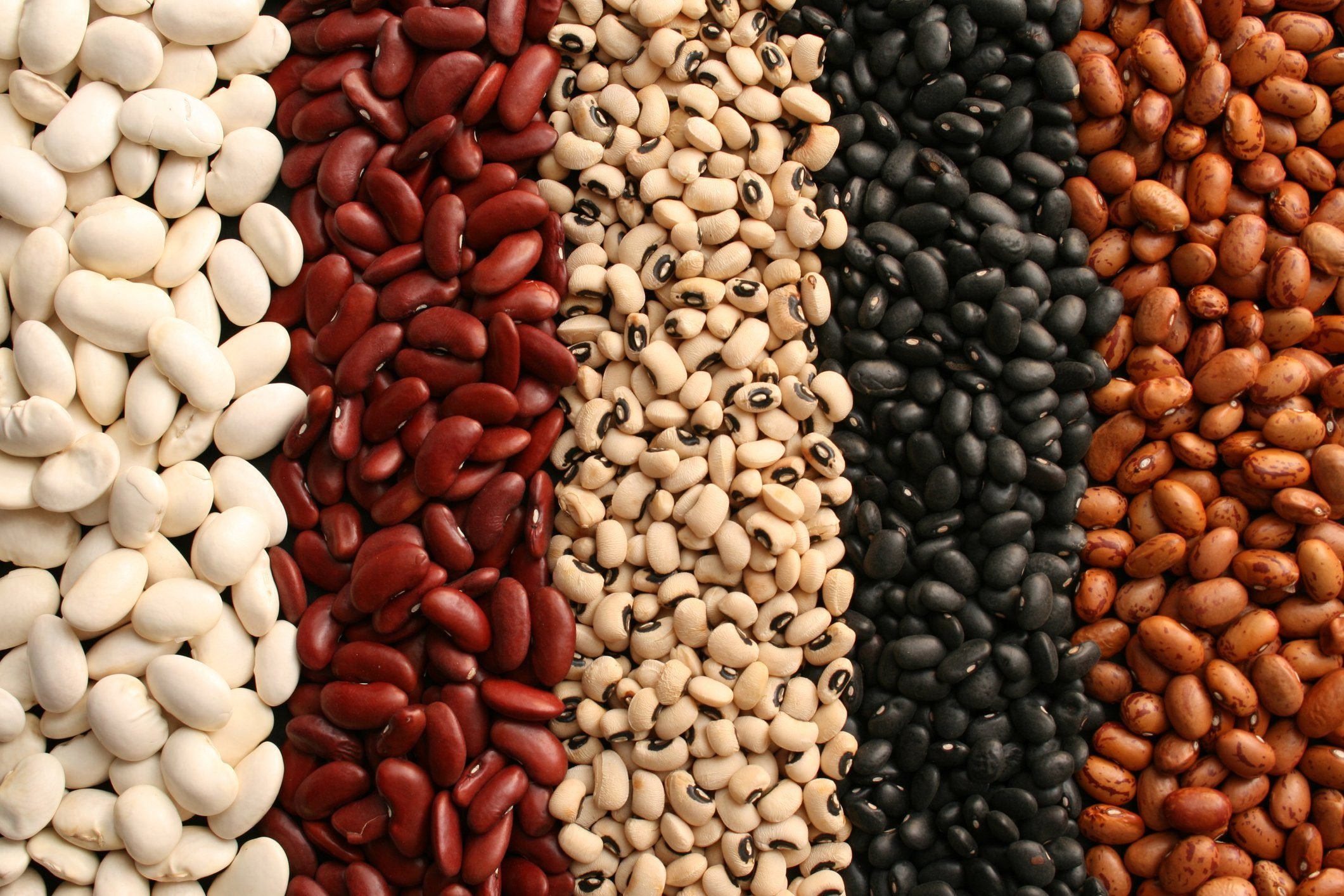 Beans And Brews Coffee House Salt Lake City