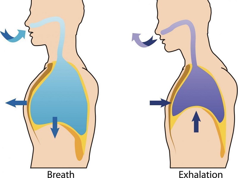 Does Exhale Wellness Get You High