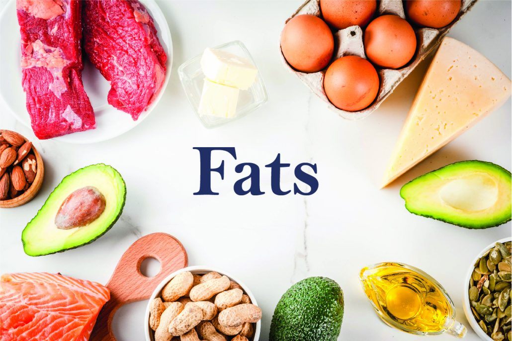 Fats Are Excellent Energy Storage Molecules Because