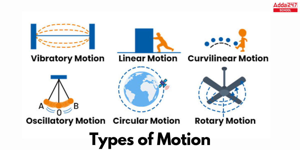 Types of Motion Class 9 with Examples - Motion Activated Night Vision Camera Wildlife