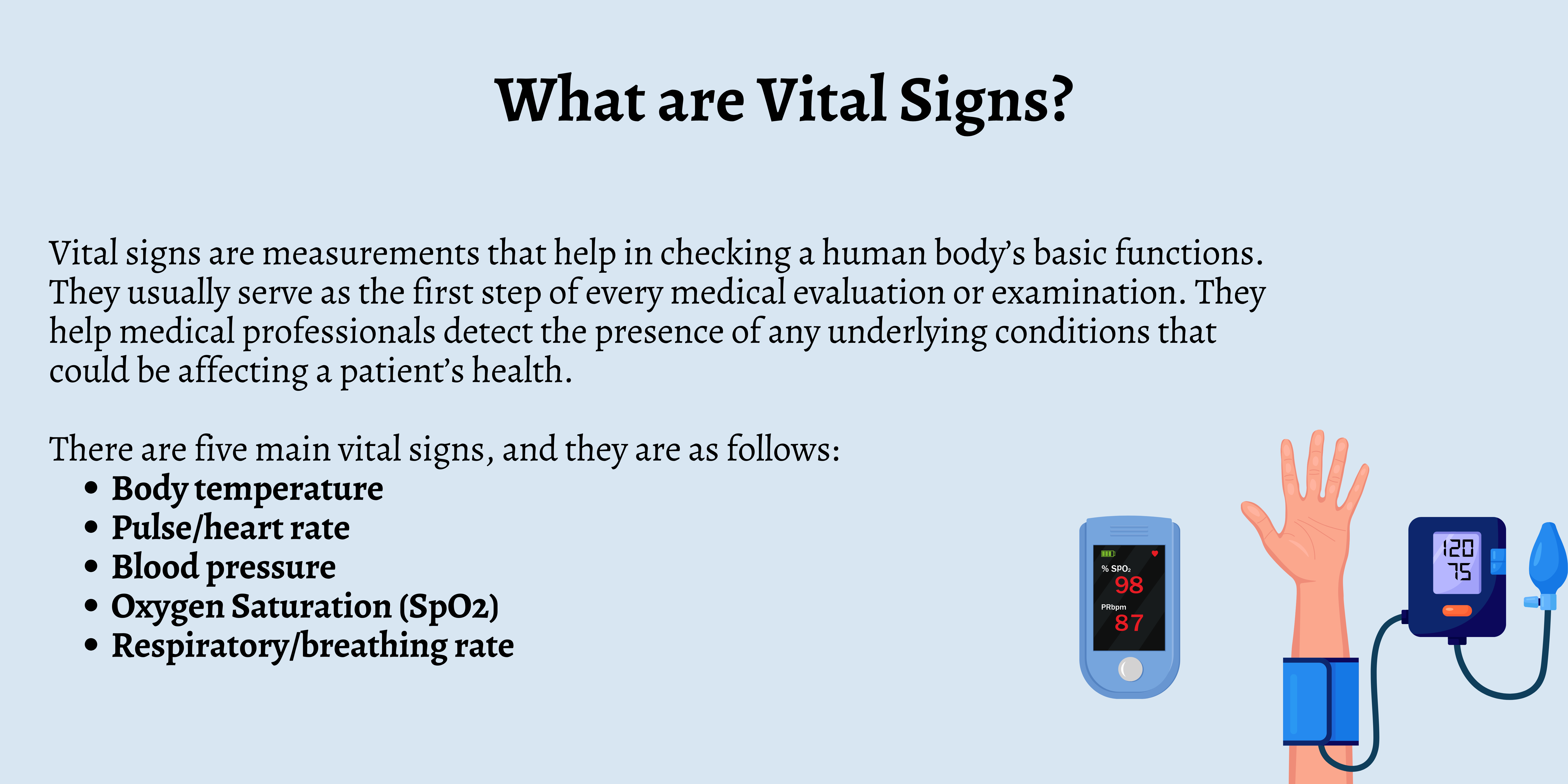 Vital Gut Health 4 In 1 Reviews