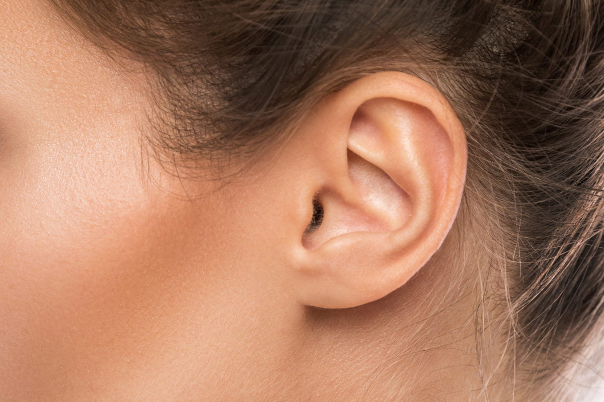 Understanding how the ear works - Hearing Link Services - Ear Nose & Throat Associates Of New York Pc