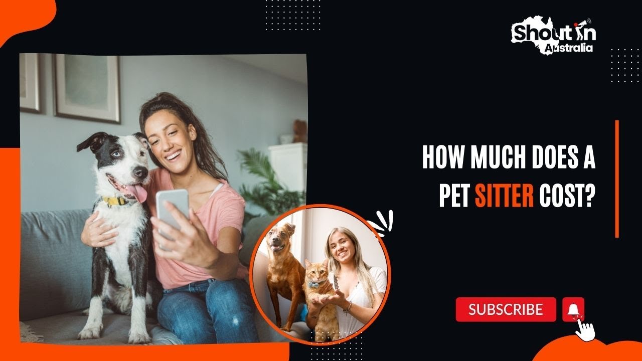 How Much To Pay For Dog Sitter