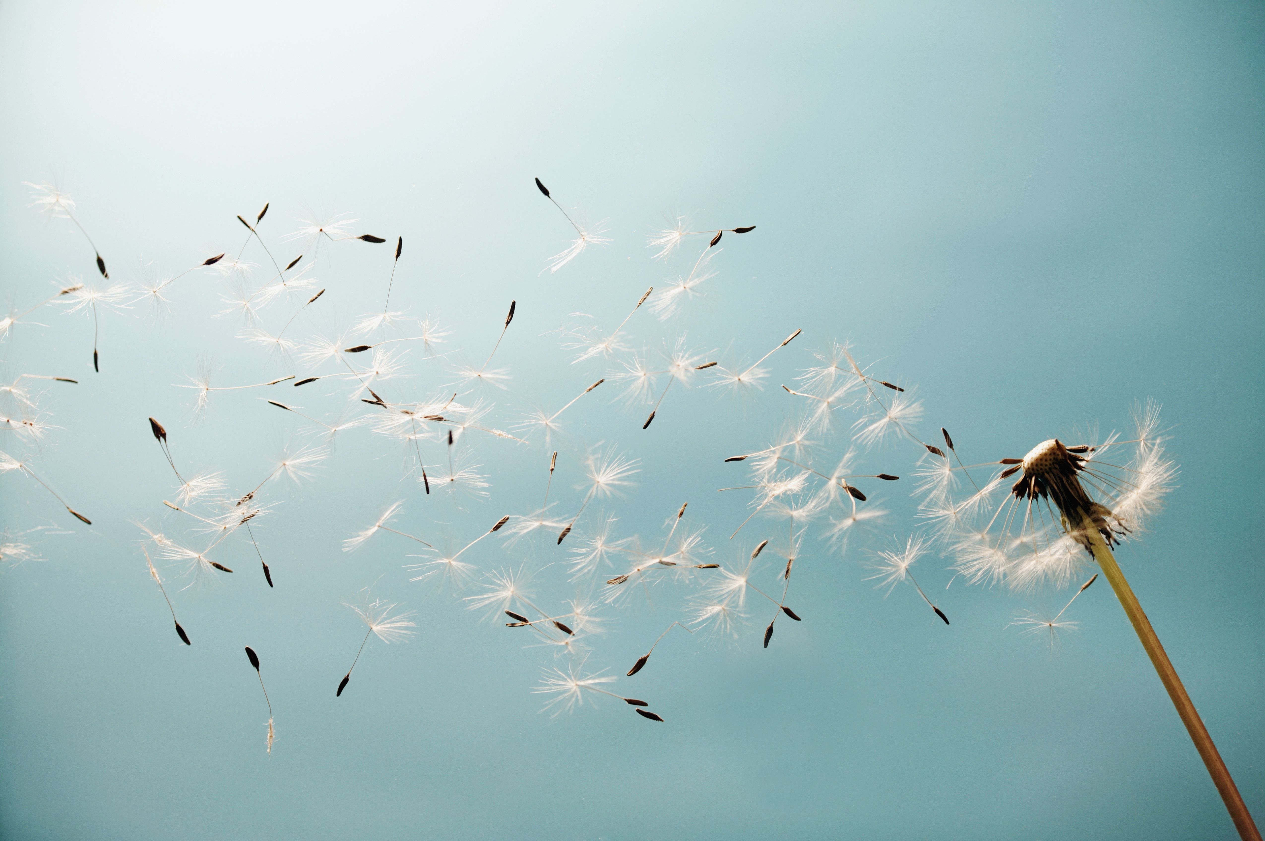Understanding Winds: The Atmosphere in Motion - Wind Crest Senior Living Community Photos