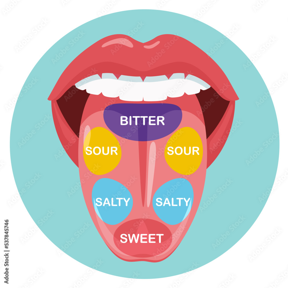 Unraveling The Myth: Exploring The Truth Behind The Taste Bud Tongue - Taste Like Candy Sweet Like Fruit