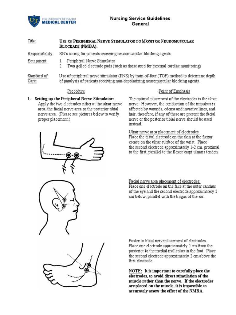 Use of Peripheral Nerve Stimulator To Monitor | PDF | Anatomical Terms - Peripheral Nerve Stimulators Medical Devices Pipeline Product Analysis