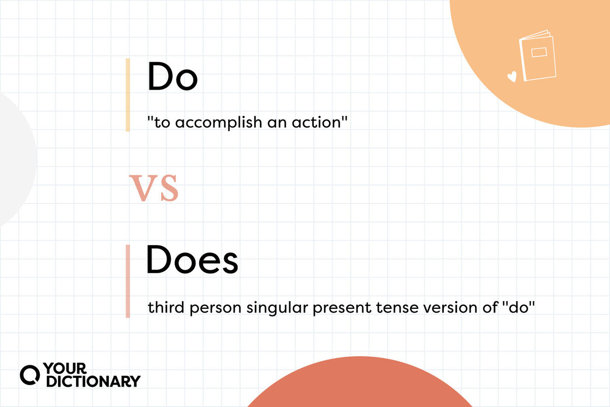 Using Do vs. Does Properly in Questions and Sentences | YourDictionary - How Do Cells Convert Your Breakfast Into Usable Energy