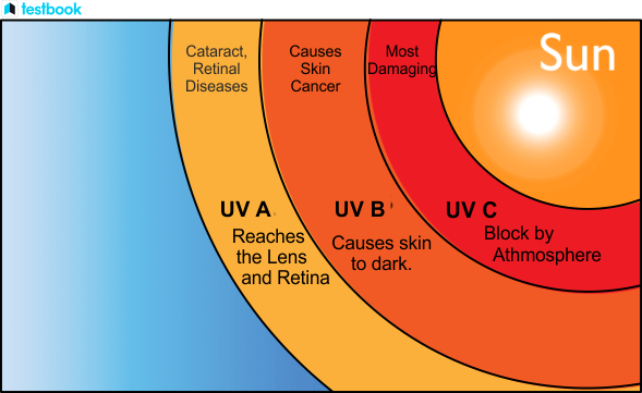 UV Light: Definition, Types, Wavelength, Frequency, Sources, Uses - Uv Brite Water Bottle Reviews Consumer Reports