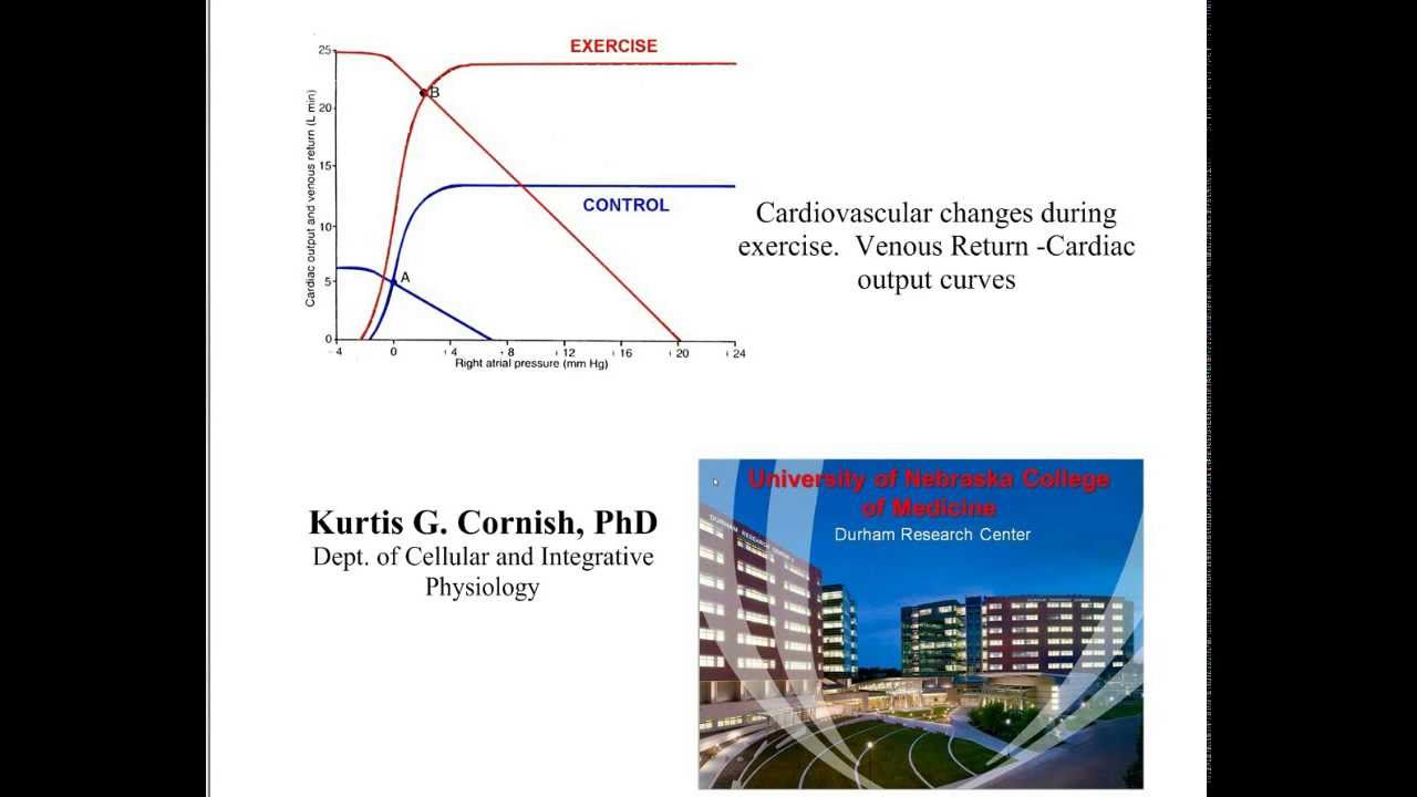 Venous Return, cardiac output, during exercise - YouTube - Choose All The Reasons Venous Return Increases During Exercise