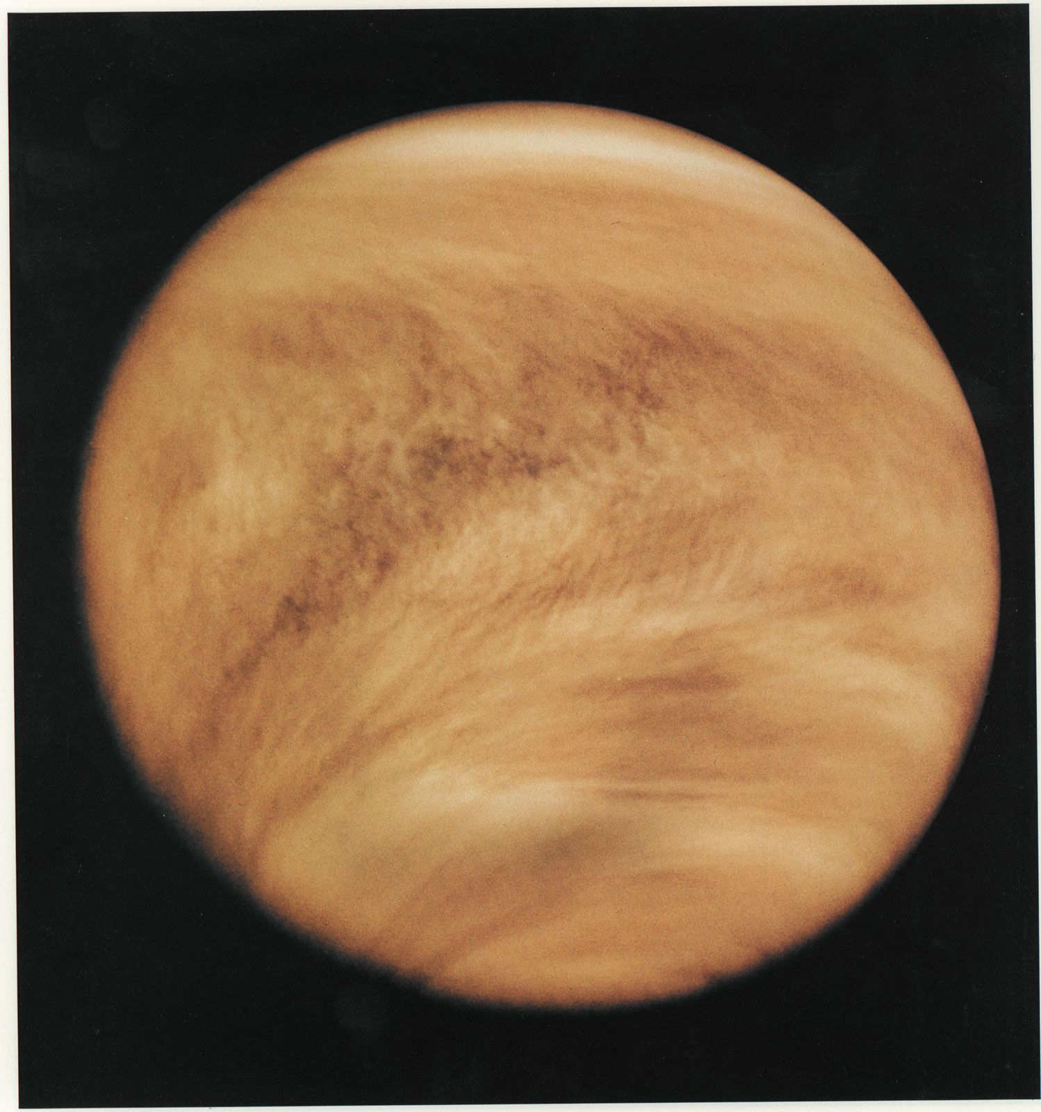 Venus In Furs Matthew Kaiser Pdf