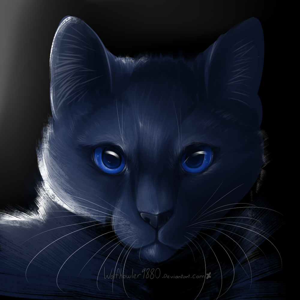 Warriors - Bluestar by Wolfhowler9880 on DeviantArt - Bluestar Quantum Computing And Machine Learning Index