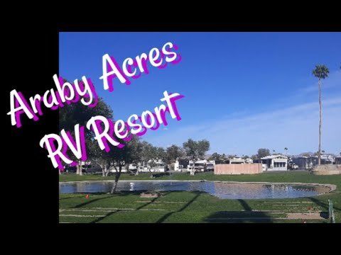 We Stayed at Araby Acres RV Resort in Yuma, AZ - YouTube - Araby Acres Rv Resort Yuma Az Usa