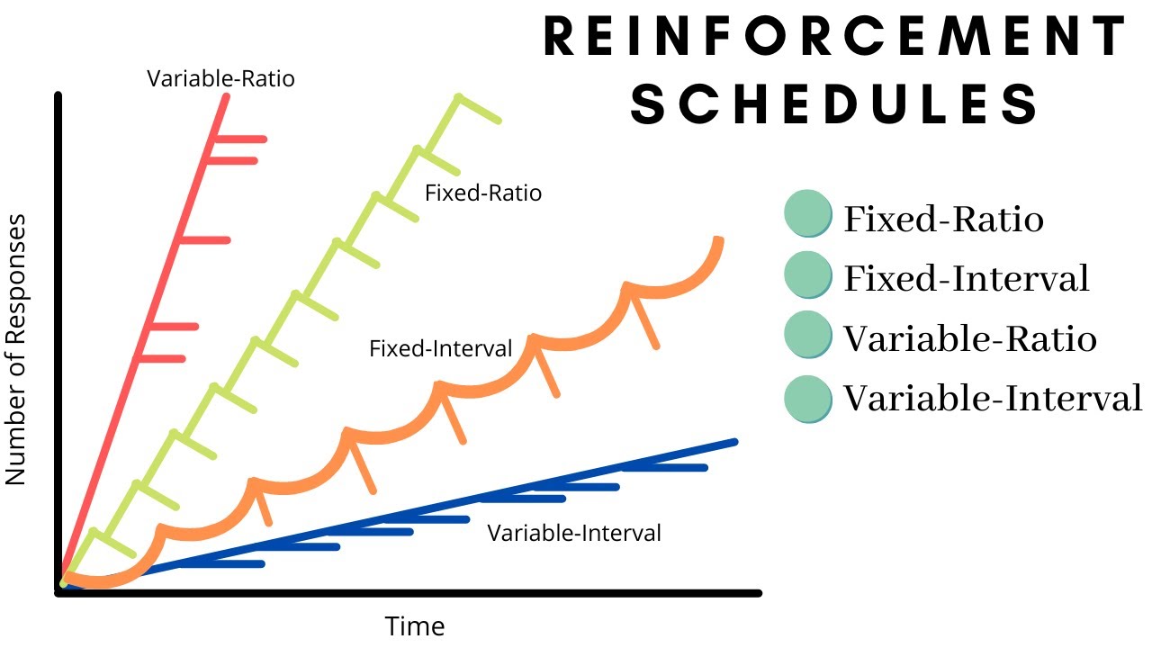 Intermittent Schedules Of Reinforcement Are Necessary To