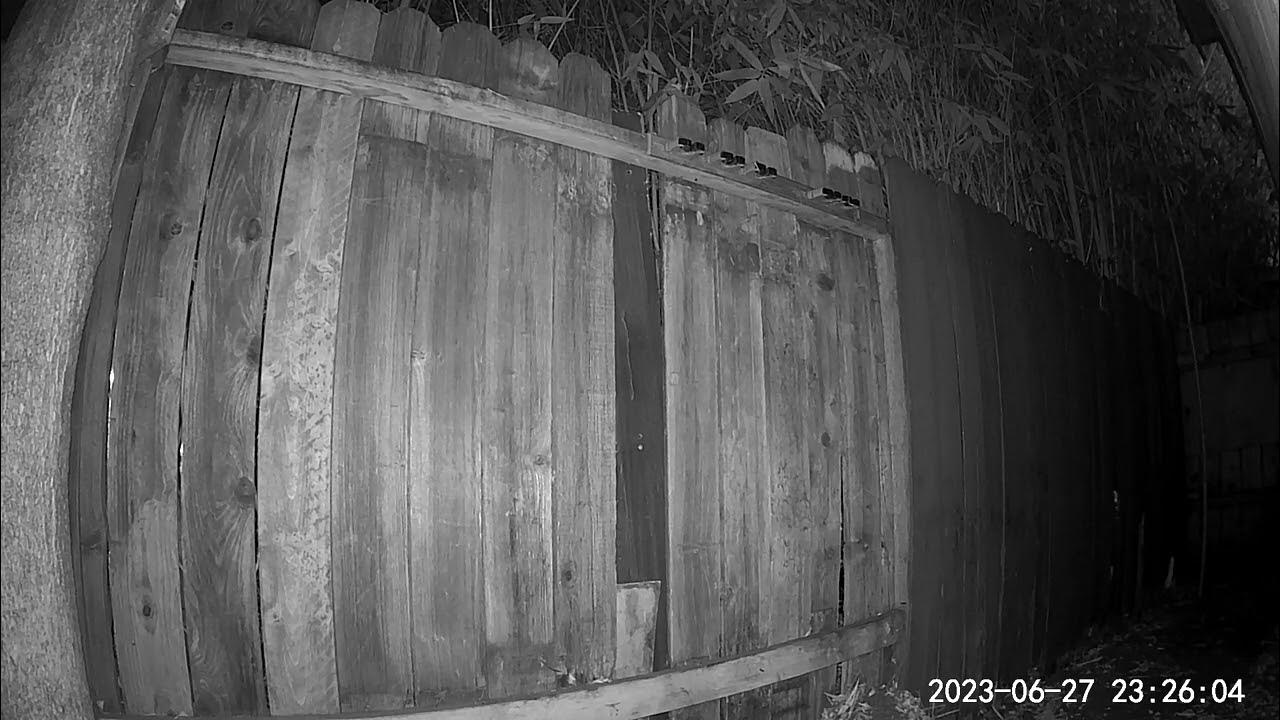 What did I Just Record In My Backyard?!!! - YouTube - How To Tell If A Security Camera Is Recording You