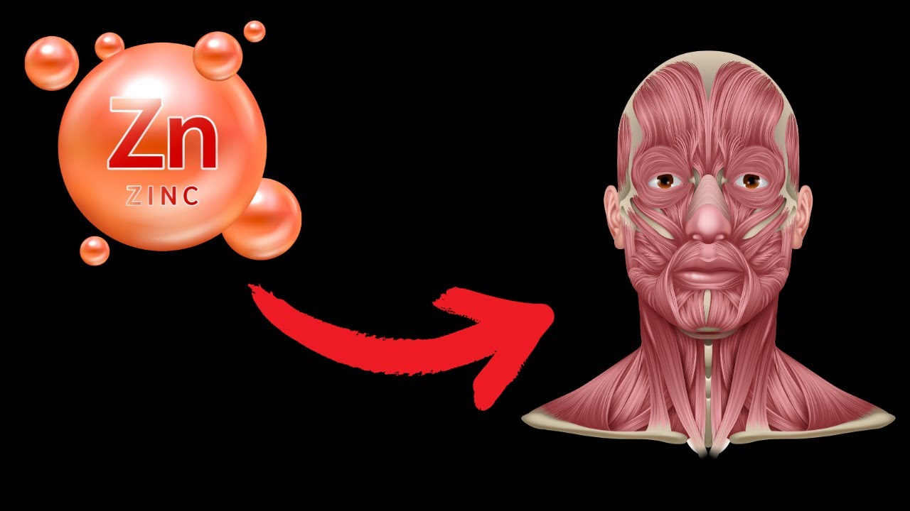 What happens when you start taking zinc every day? - YouTube - How To Feel Better After Taking Zinc On Empty Stomach
