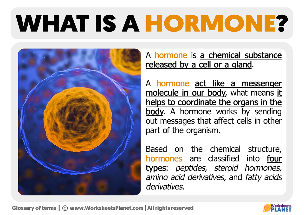 What is a Hormone | Definition of Hormone - Hormone Balancing Supplements For Weight Loss