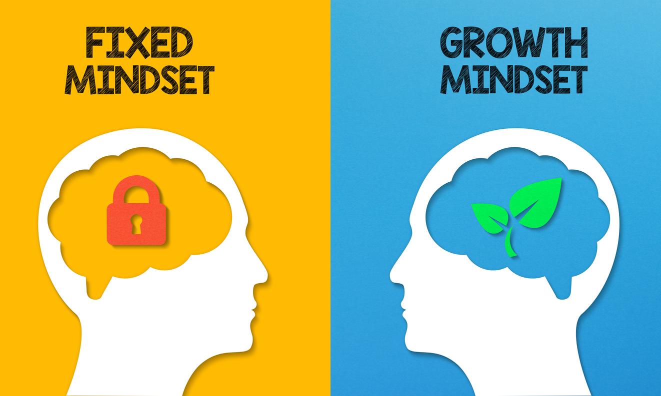 What is a Mindset? - Mindset: The New Psychology Of Success Pdf