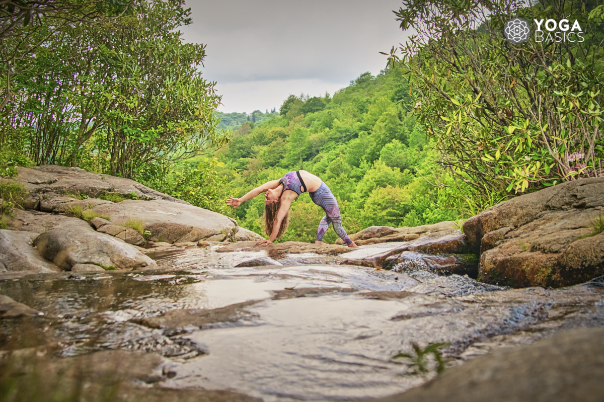 What is a Yogi? And How Do You Become One? • Yoga Basics - Yogi On The Lake Pelahatchie Ms