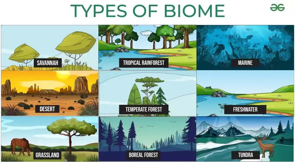 What is Biome? Definition, Types, Characteristics, Examples - Biome Secret Superfood Weight Loss Shake Reviews