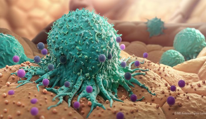 Do Cancer Cells Exhibit Contact Inhibition