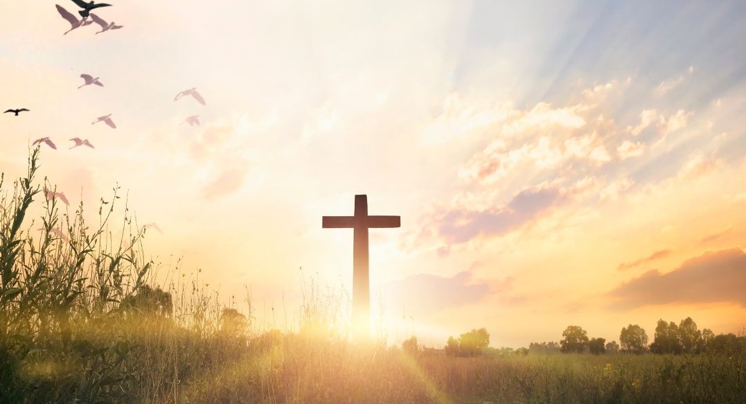 What Is Cross Of Jesus at Larry Childs blog - Holy Cross Orthopedic Institute Fort Lauderdale