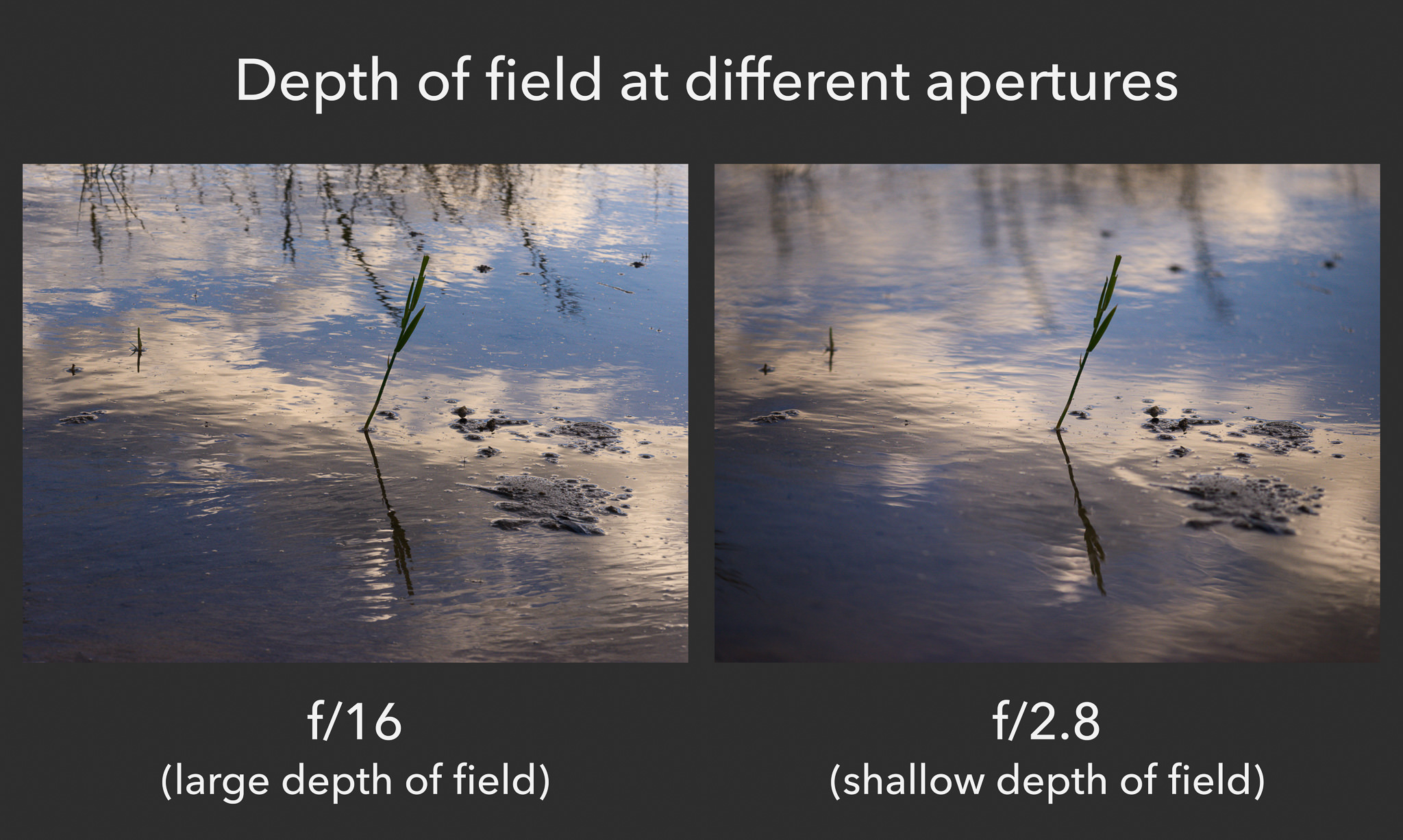 What Is Exposure in Photography? A Beginner’s Guide - Exposure Monitoring Is A Component Of Which Of The Following