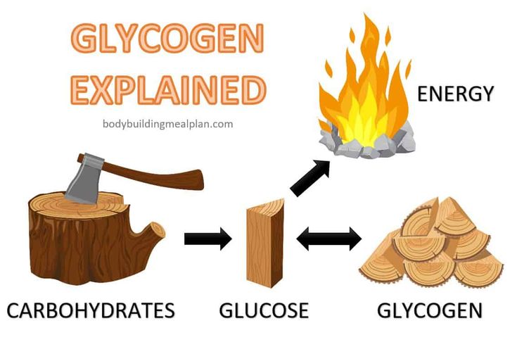 Indicate The Three Items That Describe Glycogen