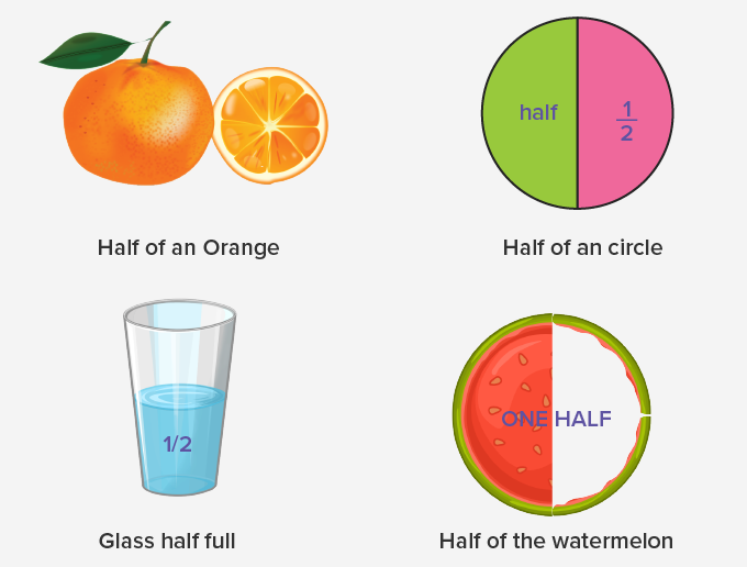 What is Halves? - Definition, Facts & Example - Half Refrigerator Half Freezer For Garage