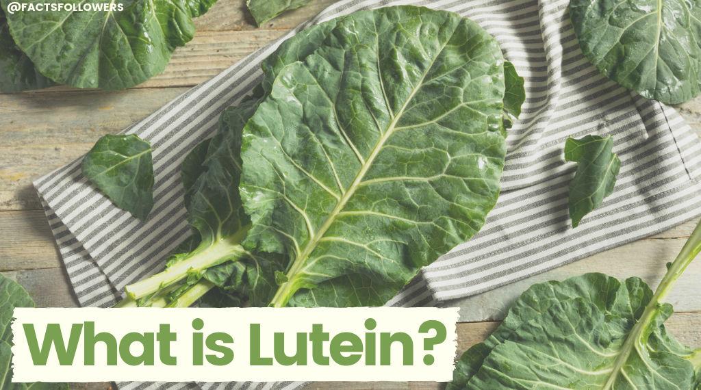 What is Lutein? – Food Insight - Which Brand Of Lutein Is The Best