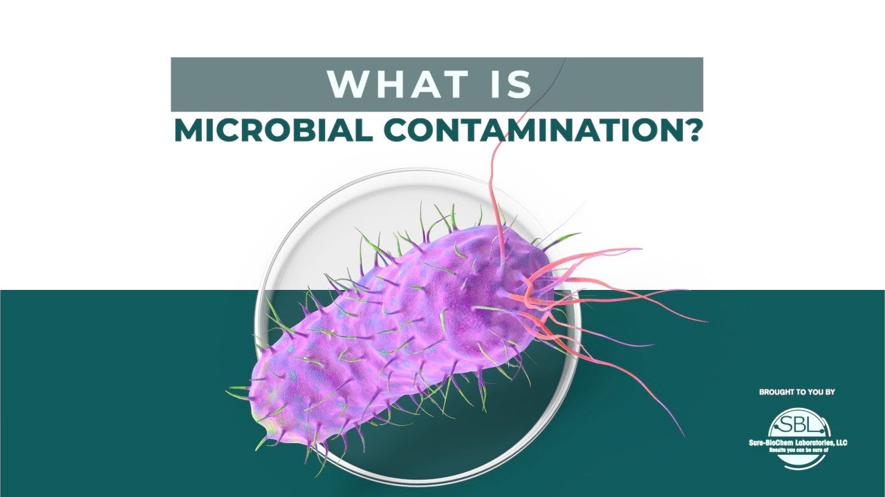 Microbiological Contaminants Are Best Described As