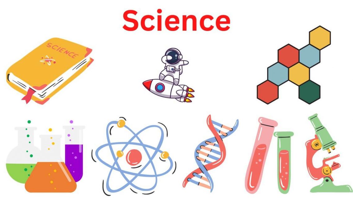 What is Science - Definition, Methods, Types - Research Method - Science Diet Perfect Weight And Joint Support
