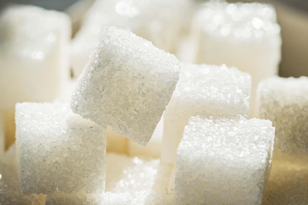 What is sugar? | New Scientist - Sugar Defender Sugar Defender Liquid Drops Reviews